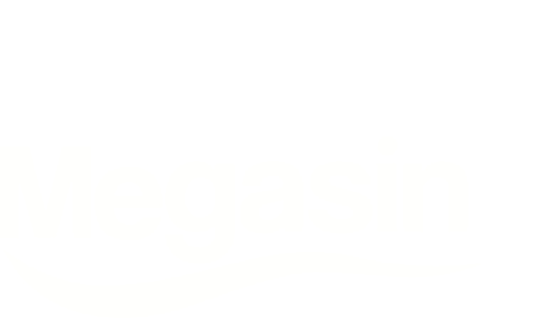 Megasin